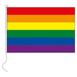 Regenboogvlag (150 x 100 cm)