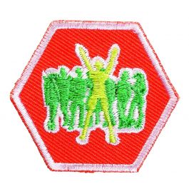 Basisinsigne Scouts - Identiteit I (oranje)