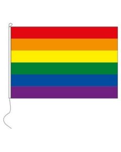 Regenboogvlag (150 x 100 cm)