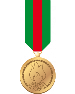 Waarderingsteken Bijzondere verdienste (medaille + badge)