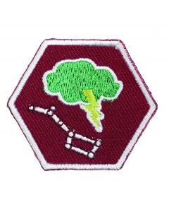 Specialisatie-insigne Scouts III Buitenleven - Ster- & Weerspecialist