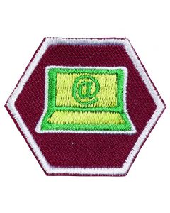 Specialisatie-insigne Scouts III Samenleving - Internetspecialist