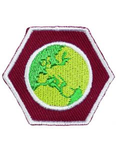 Specialisatie-insigne Scouts III Internationaal - Scouting wereldwijd