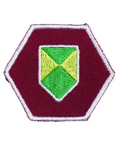 Specialisatie-insigne Scouts III Samenleving - Heemkundige