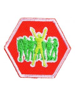 Basisinsigne Scouts - Identiteit I (oranje)
