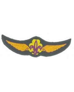 Gouden wing (Luchtscouts)